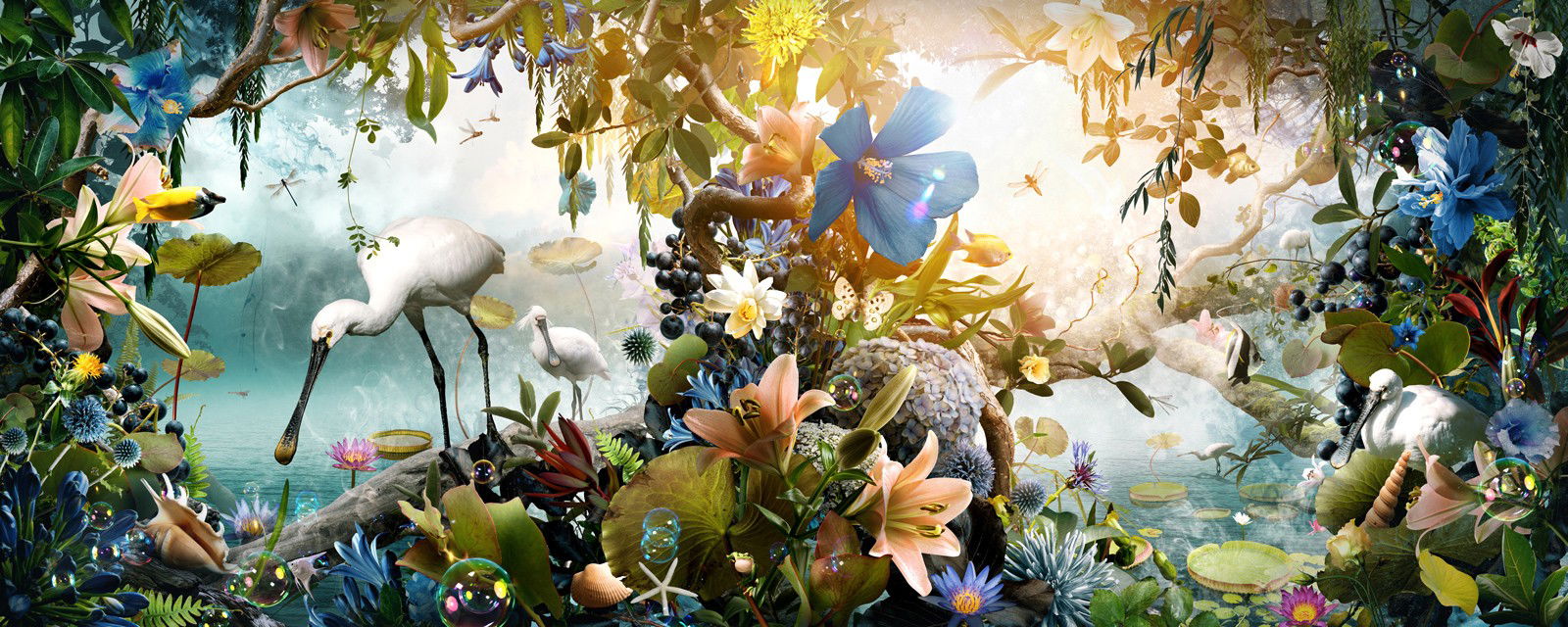 Aquatica by Jesper Krijgsman - Limited Edition. Edition of: 150. Signed.