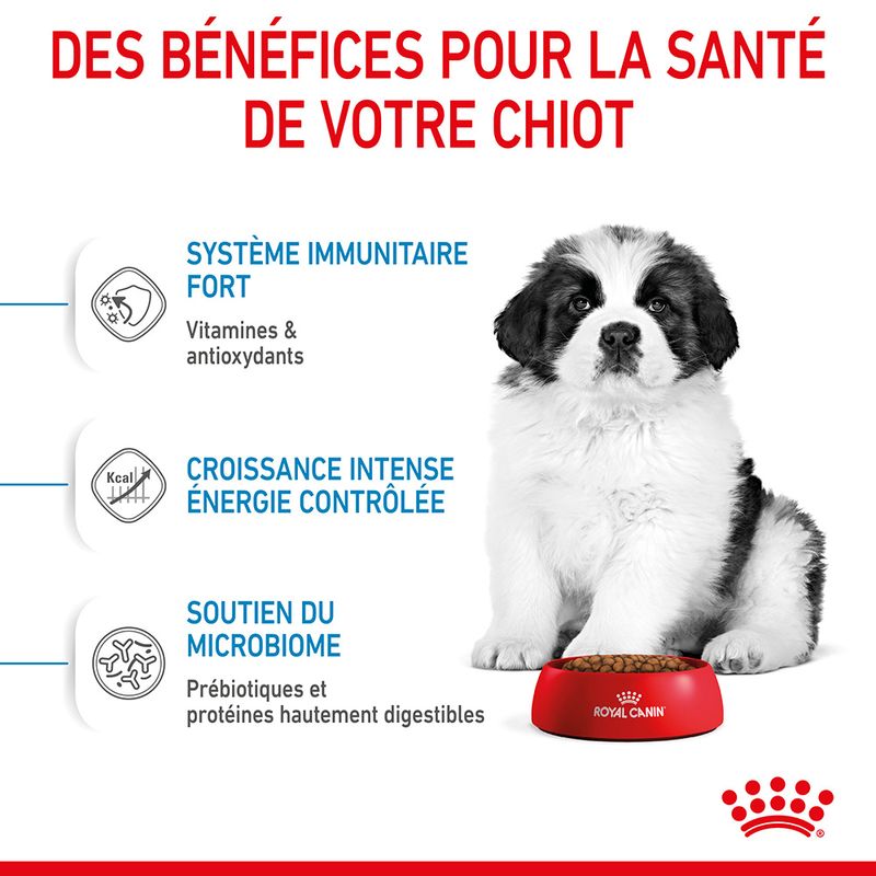 Royal Canin Giant Puppy - Croquettes chiot pas chères | Bitiba