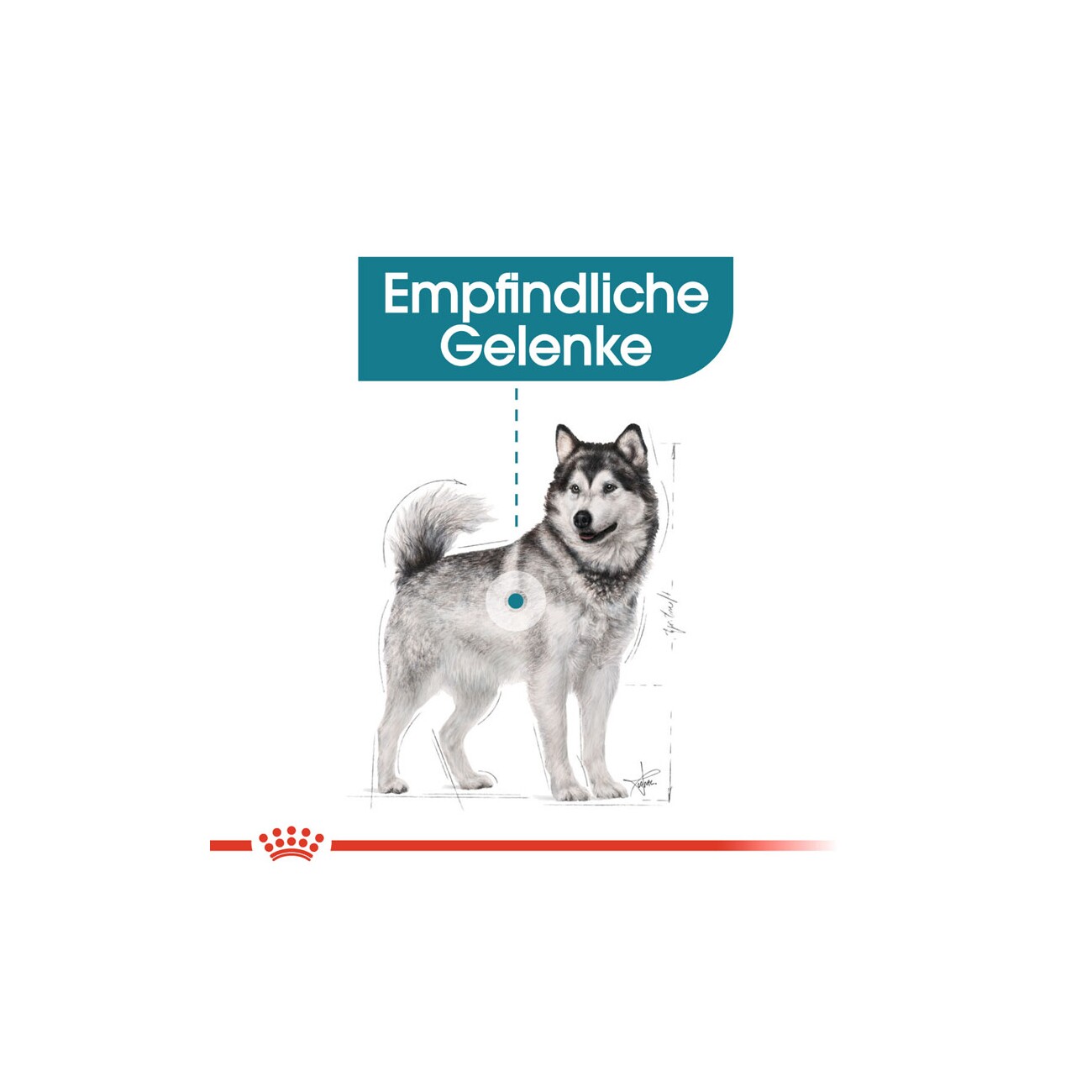 ROYAL CANIN Maxi Joint Care 10 kg