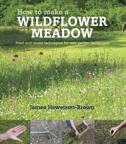 How to make a wildflower meadow: Tried-And-Tested Techniques for New Garden Landscapes (Paperback)
