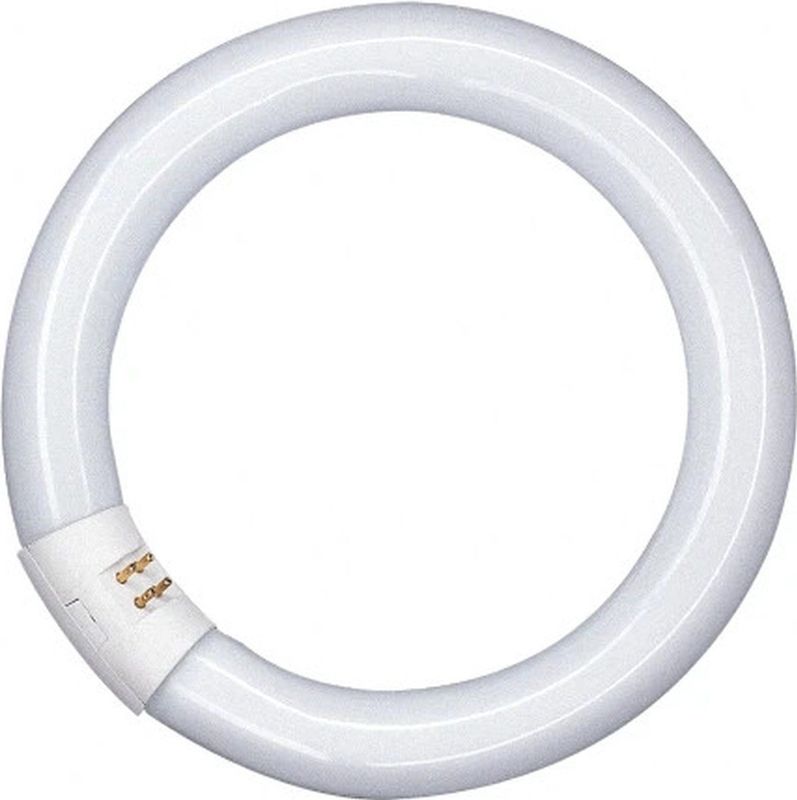 OSRAM - Lumilux-Lamp - Ringvorm - Wit - 40W - G10q