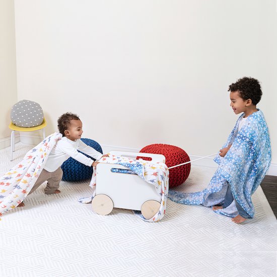 Couverture   Superman        de               aden + anais essentials