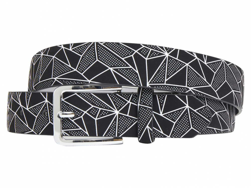 Silver Spider (Riem)