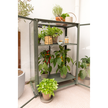 Royal Well Urban Grower Medium