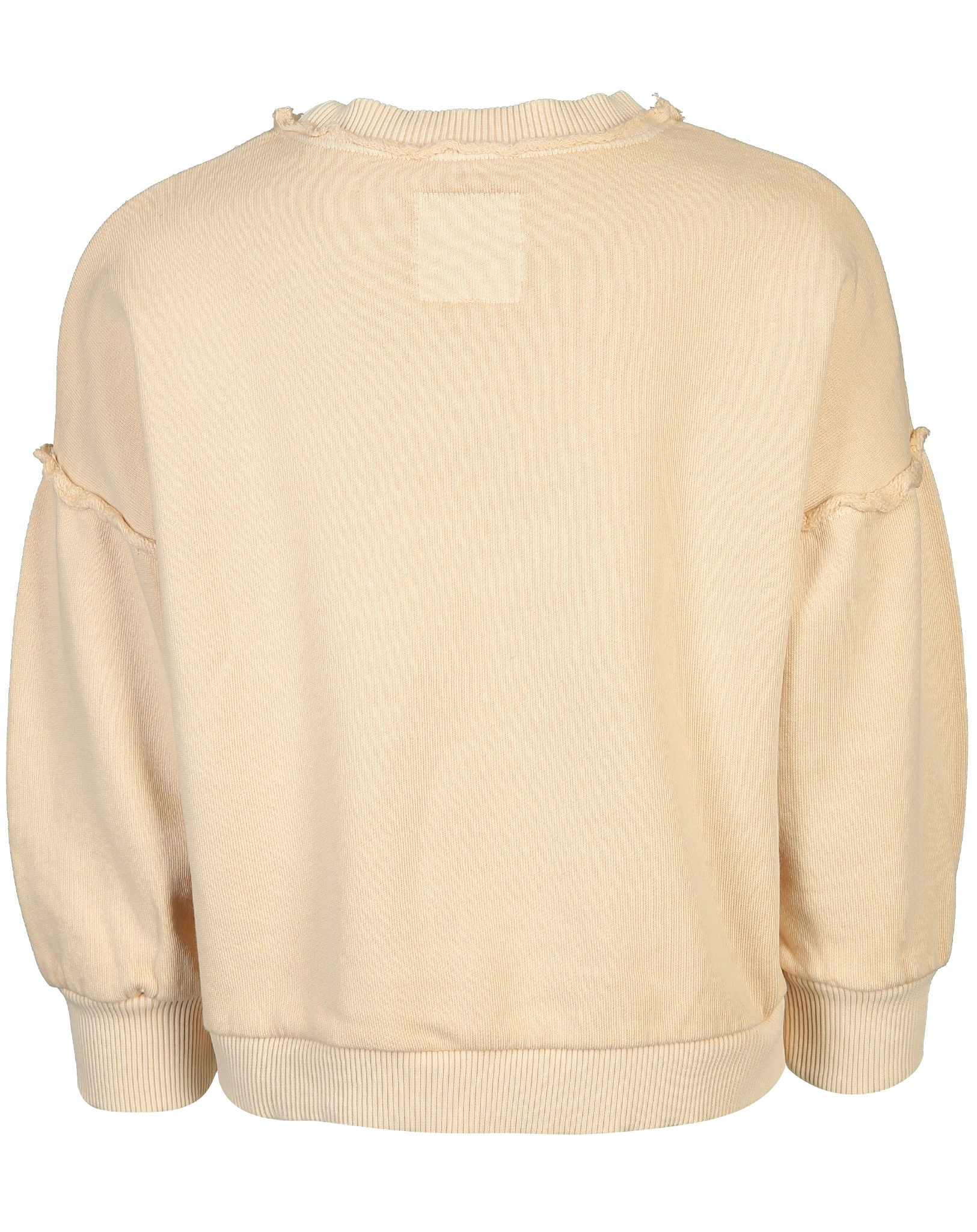 Sweatshirt ASA in gourd