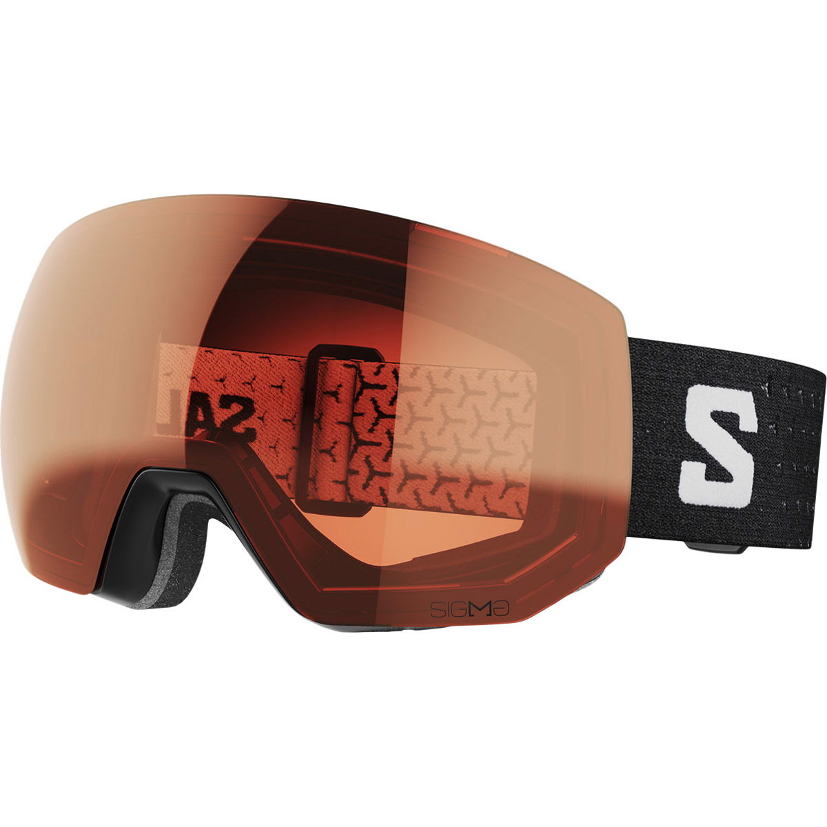 Salomon Radium Pro Sigma Skibriller