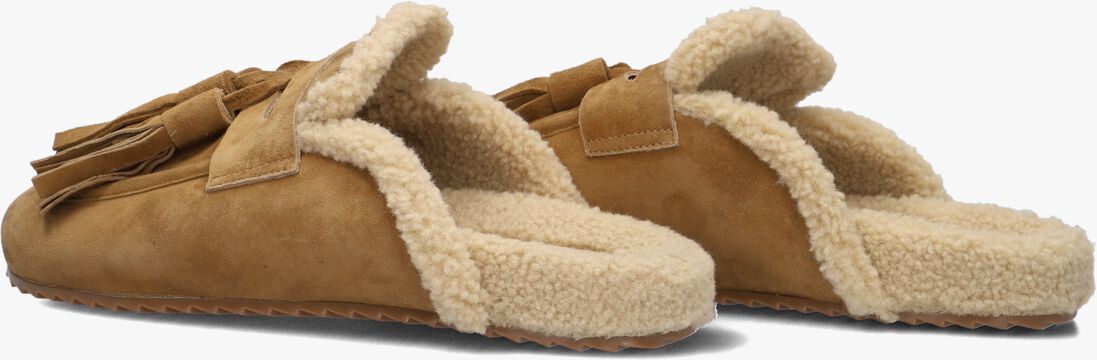 camel toral instappers ariana