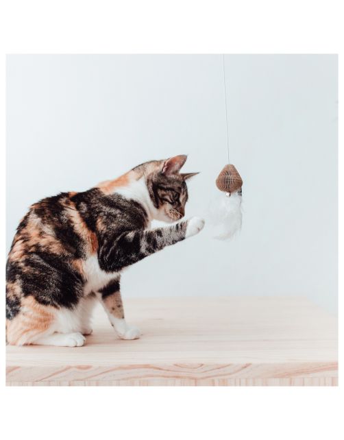District 70 Kattenhengel Smash - Kattenspeelgoed -