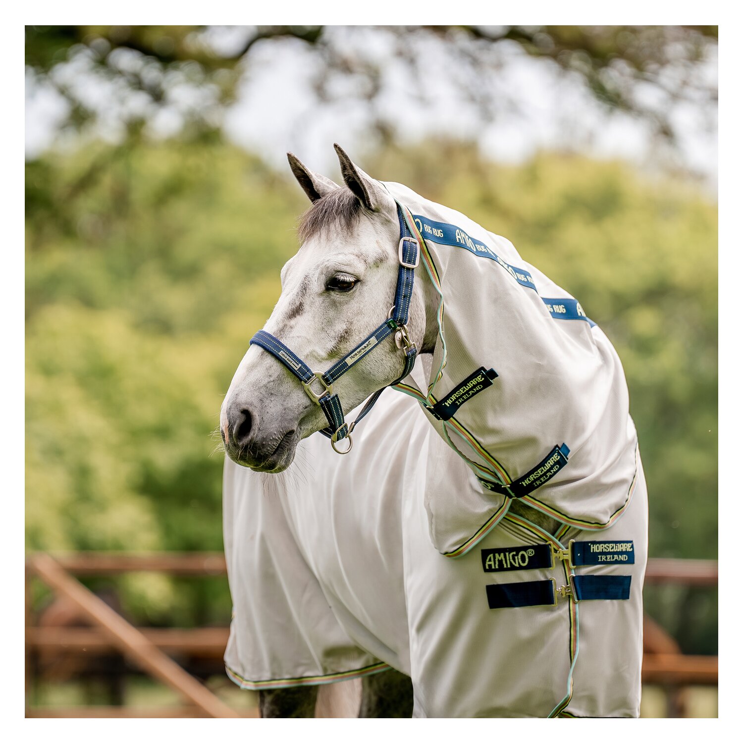 HORSEWARE Halfter Fieldsafe  - navy