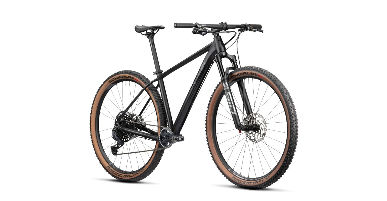 Radon Jealous AL 10.0 SL kaufen | Bike-Discount