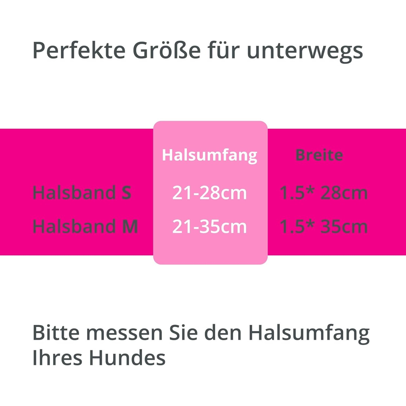 Petsation leuchtendes Katzenhalsband S pink