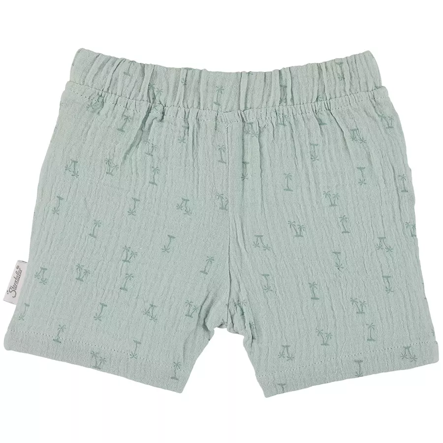 Sterntaler Set Shirt+kurze Hose Palme mittelgrün