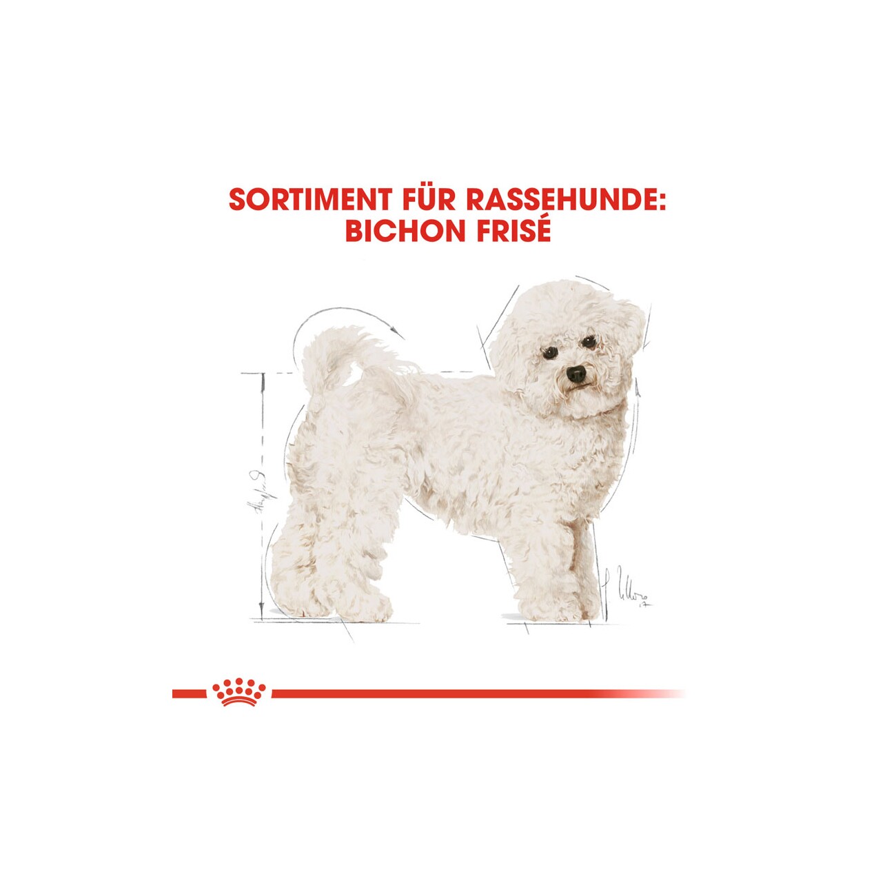 ROYAL CANIN Bichon Frisé Adult 1,5 kg