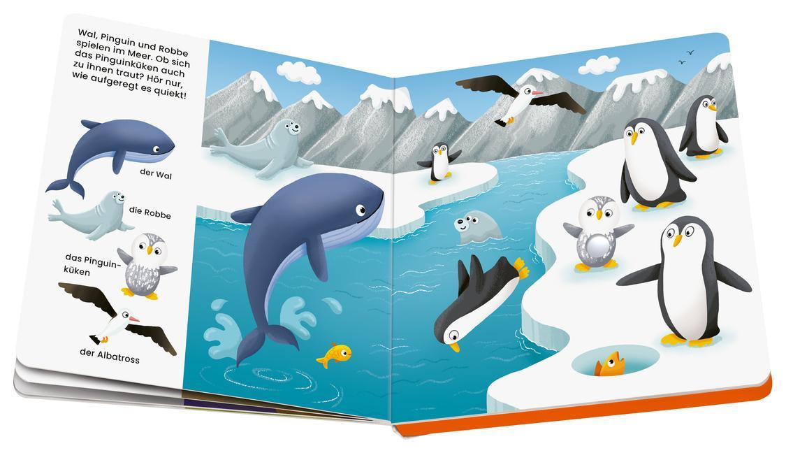 Ravensburger, play+ Mein allererstes Soundbuch: Tierkinder (Sachen suchen und hören)