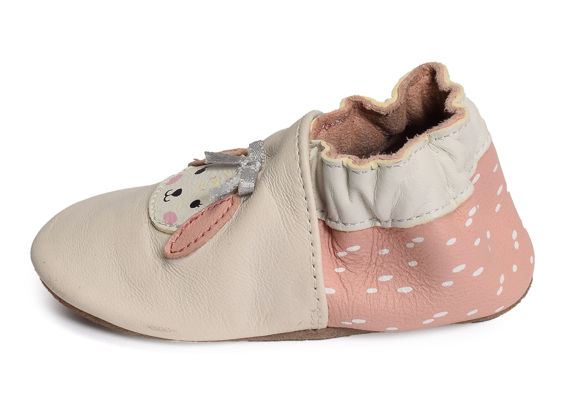 Colorfull dog beige rose