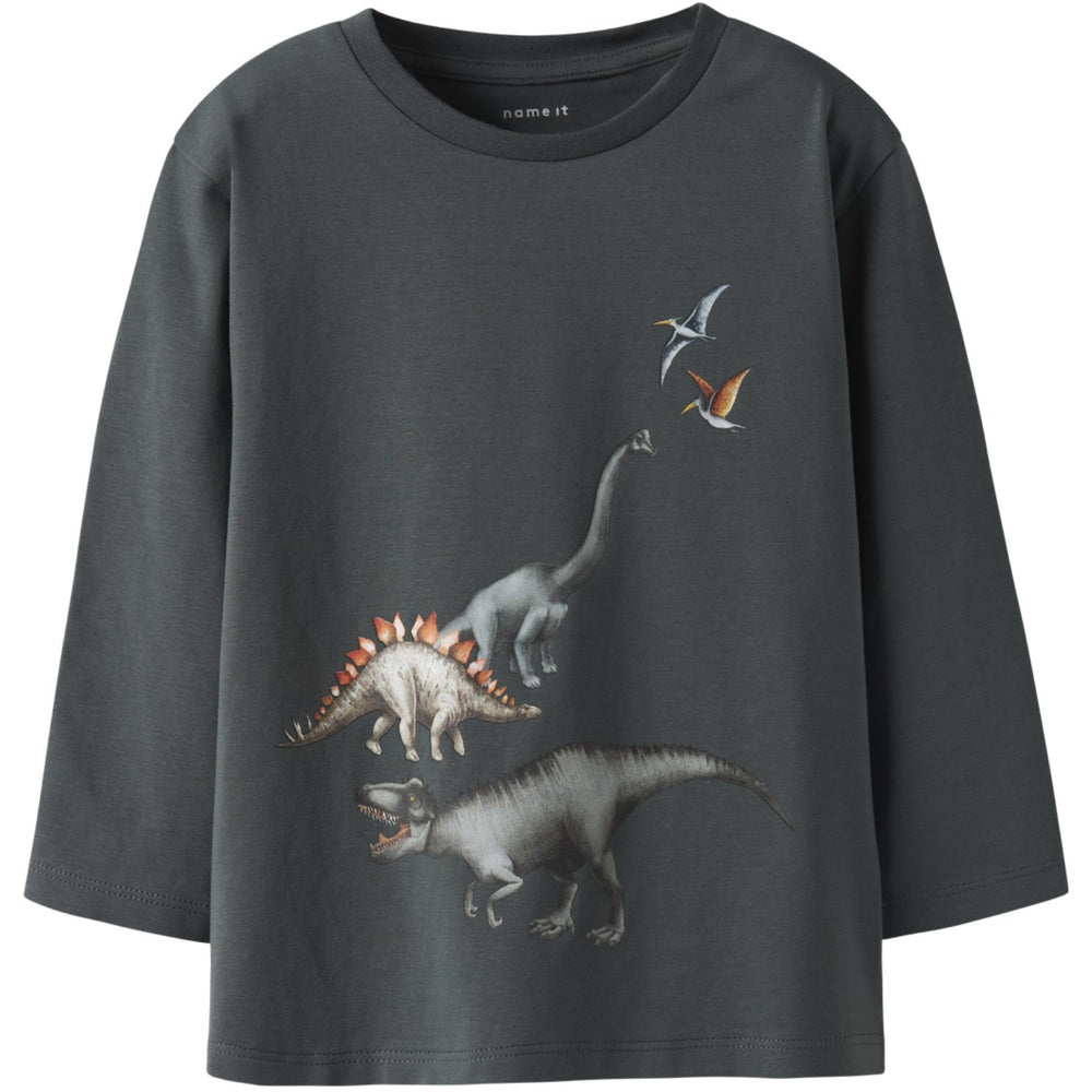 Køb Name It Urban Chic Nmmbart Ls Nreg Top Box