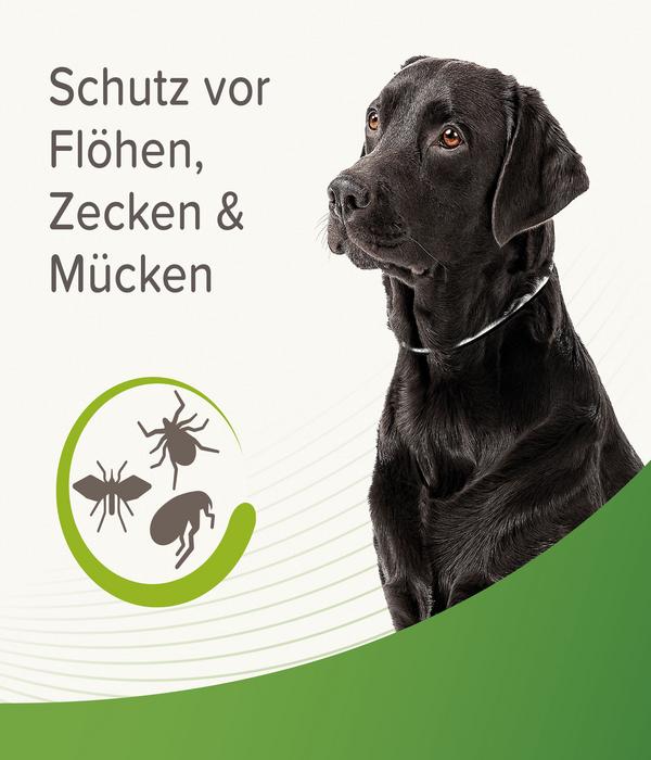 beaphar Zecken- und Flohschutzband für Hunde,