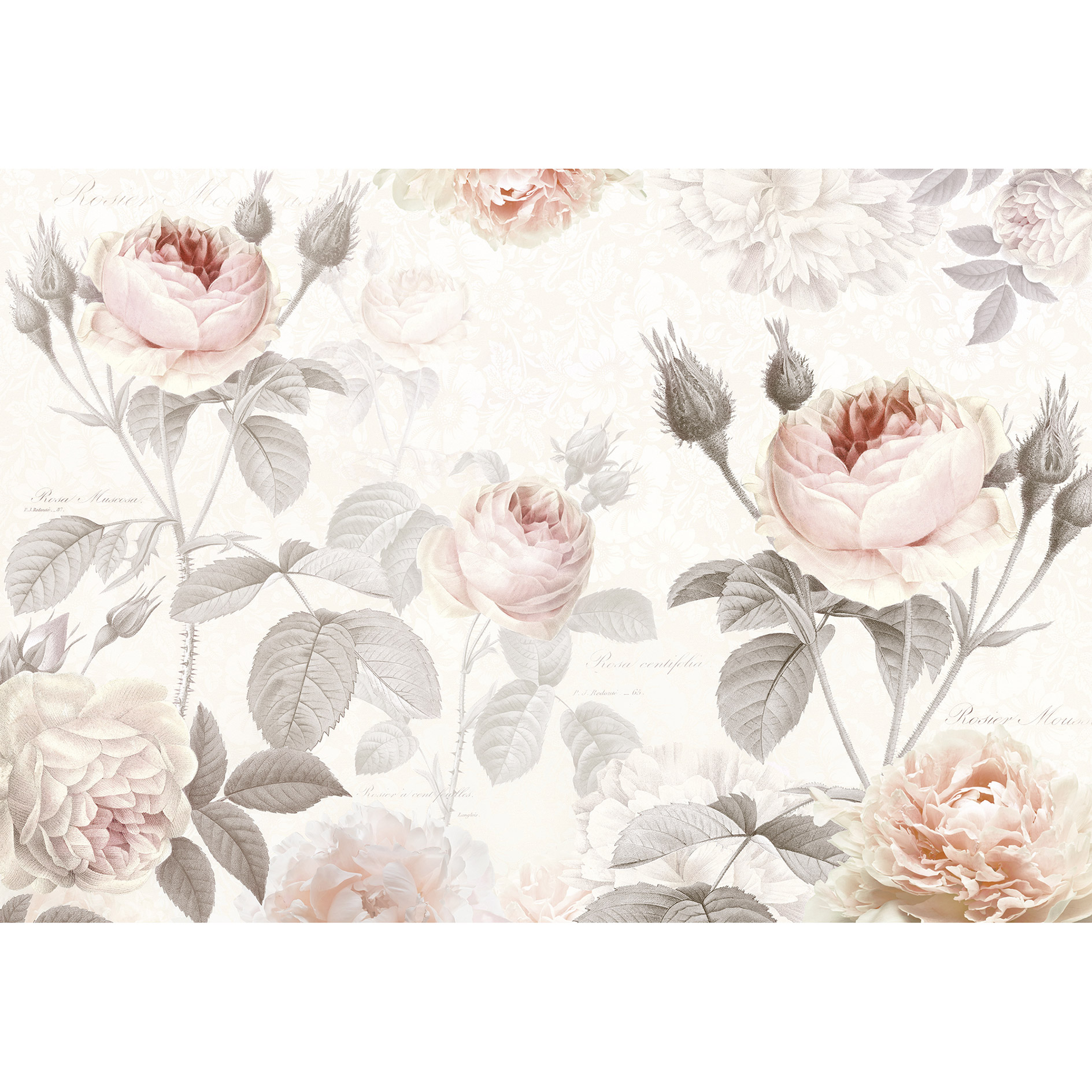 Vlies-Fototapete LA MAISON - rosa-grau - 368x248 cm