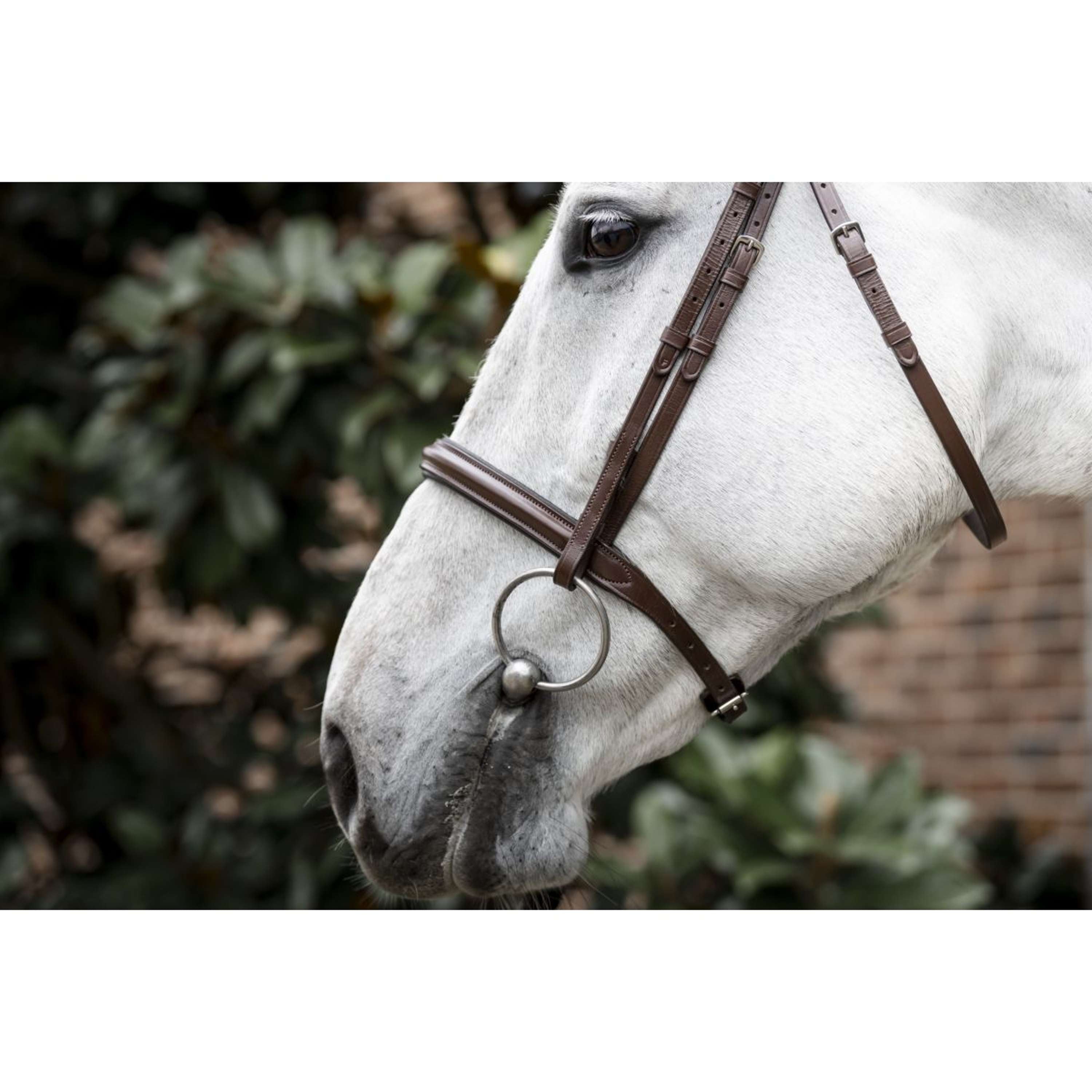 Horseware Hoofdstel Cavesson Bruin