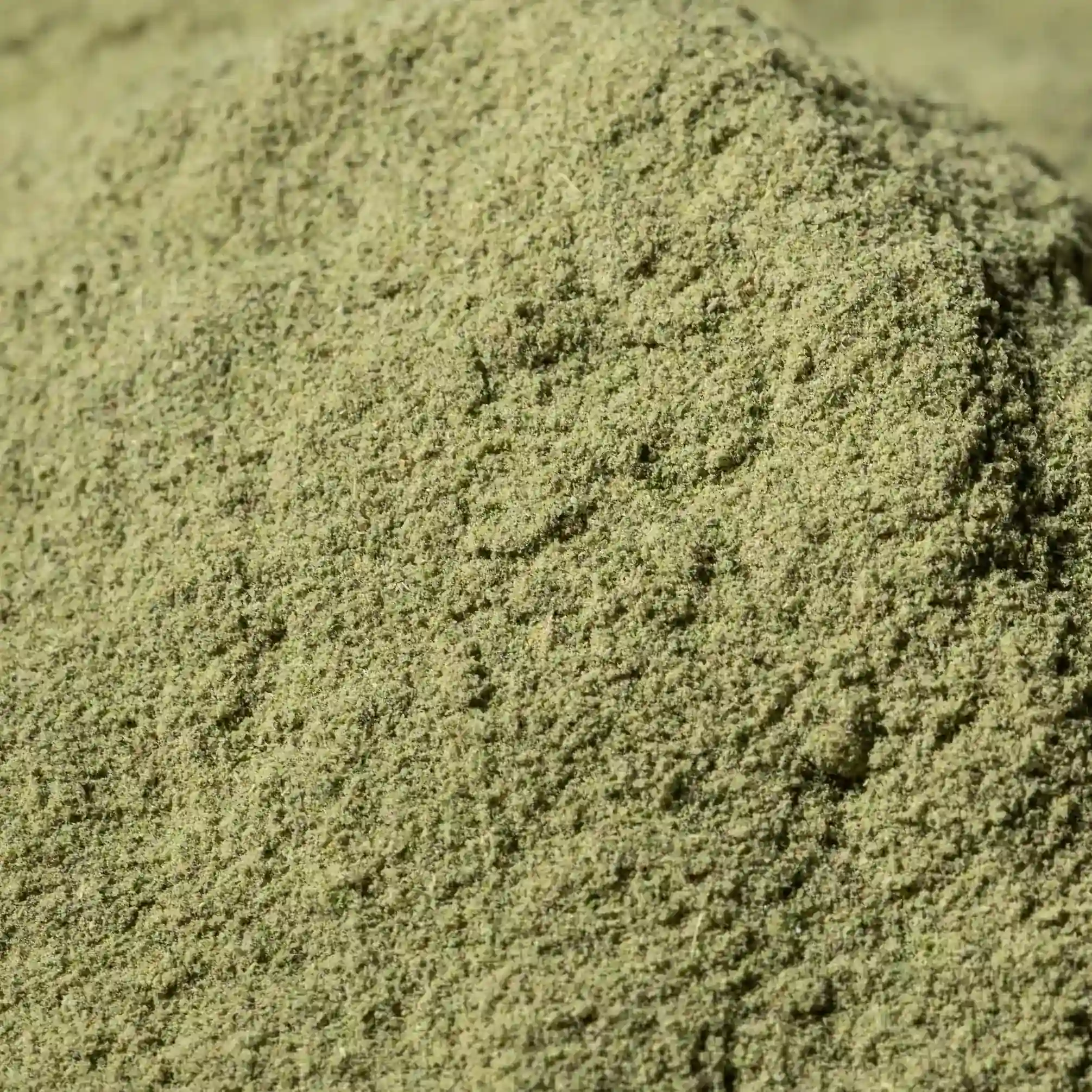 Stevia Süsskraut, gemahlen
