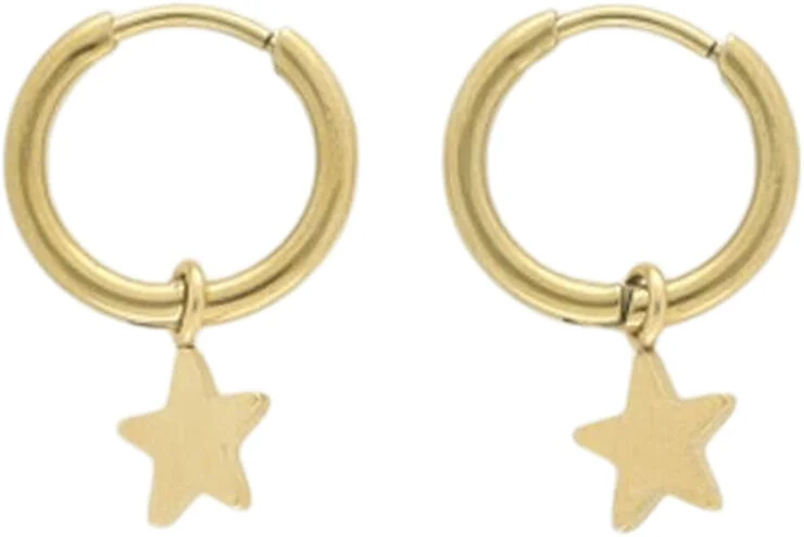 My Jewellery Small hoop earrings with star charm Gold