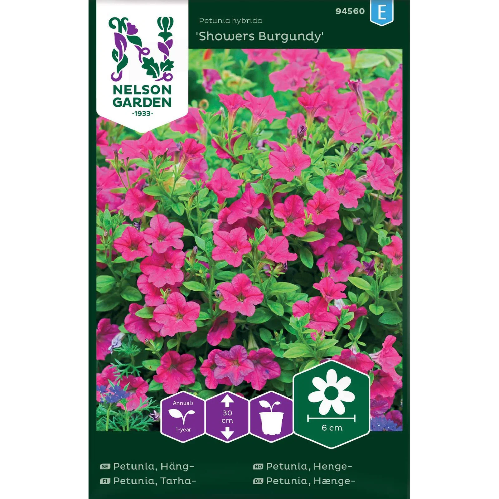 Petunia hybrida 'Showers Burgundy' Hengepetunia 'Showers Burgundy'