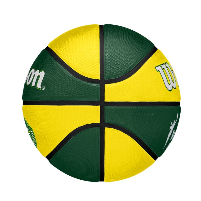 WNBA Tribute Basketball