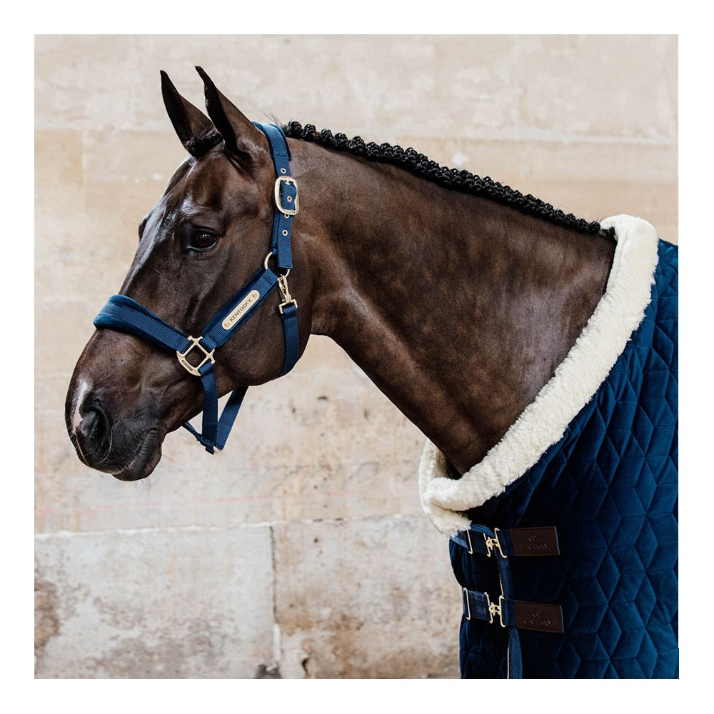 Kentucky VELVET - Licol navy