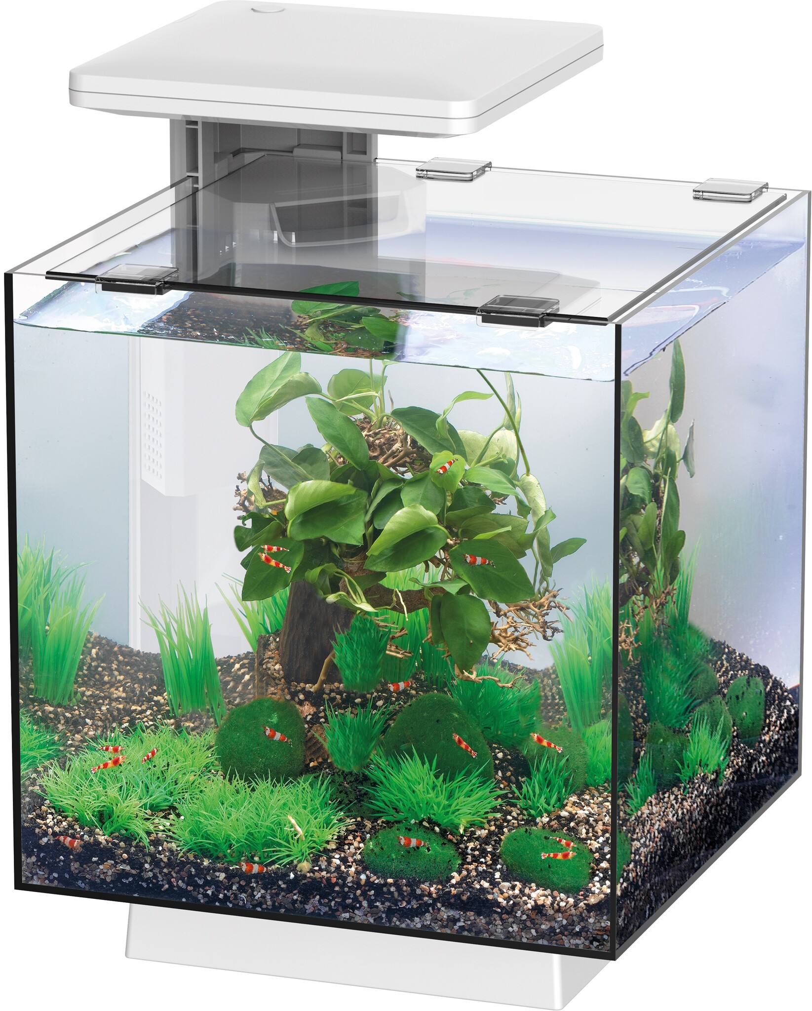 Qubiq 15 LED Wit