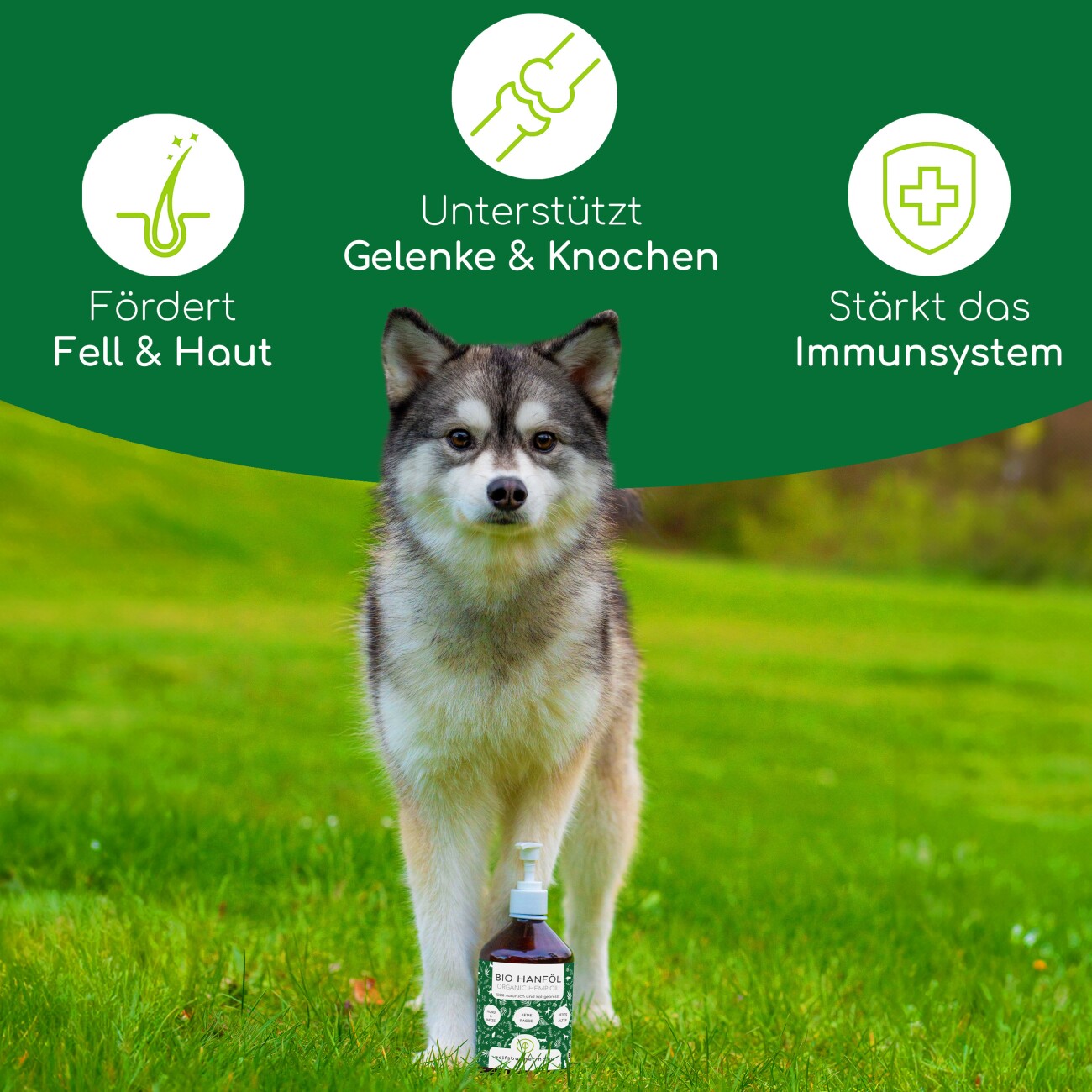 Wolfsbacher Natur Futteröl Set 4 x 500ml