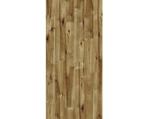 Laminaat Masterfloor 8.0 Hickory Bravo P80070 HG