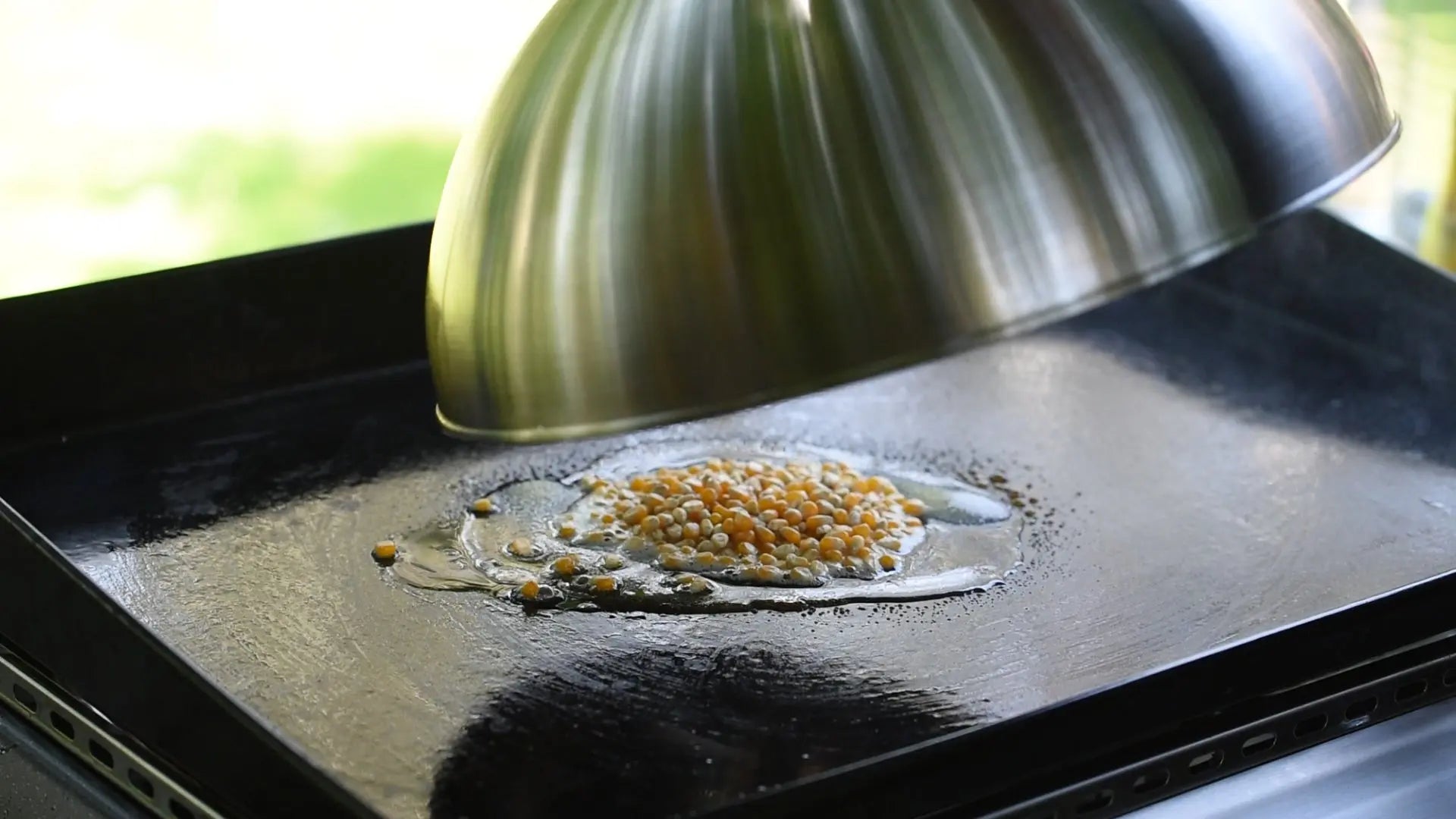 Premium Plancha Garhaube