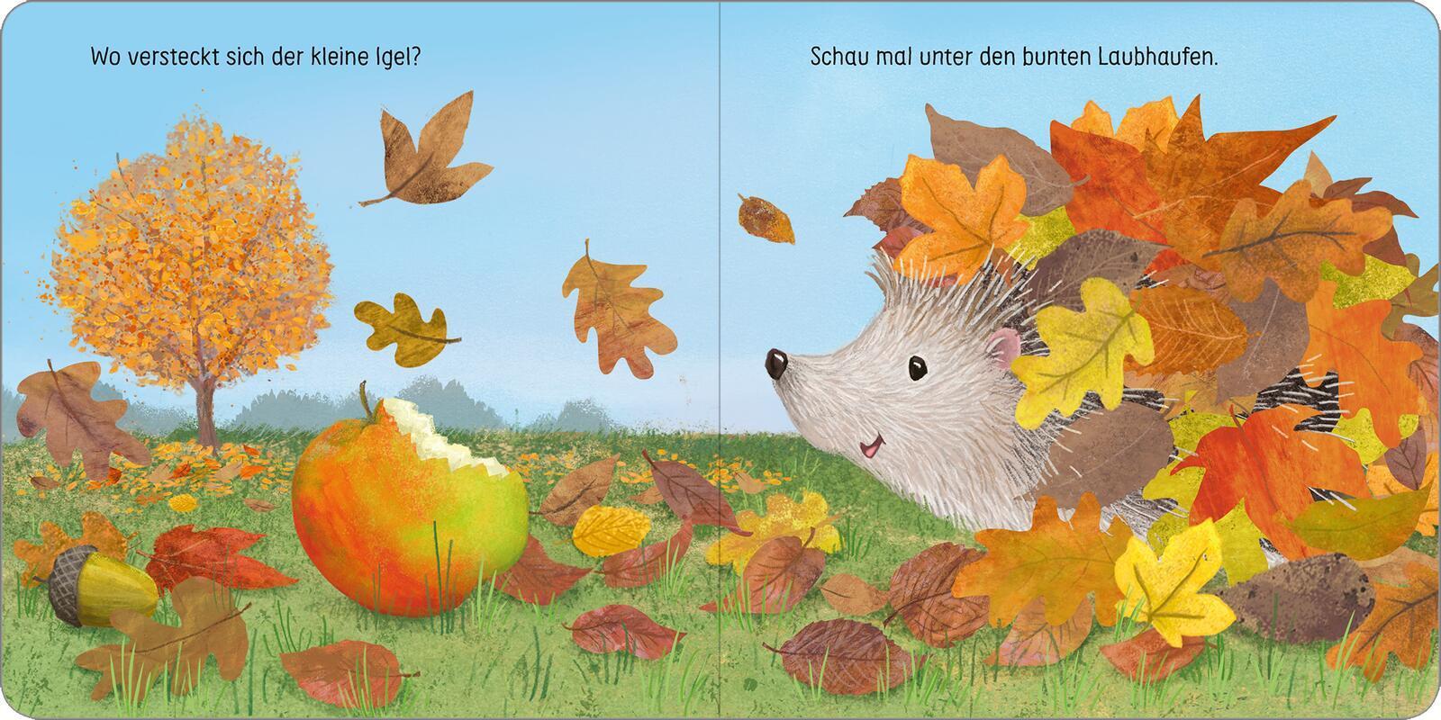 Kuckuck, kleines Eichhörnchen!