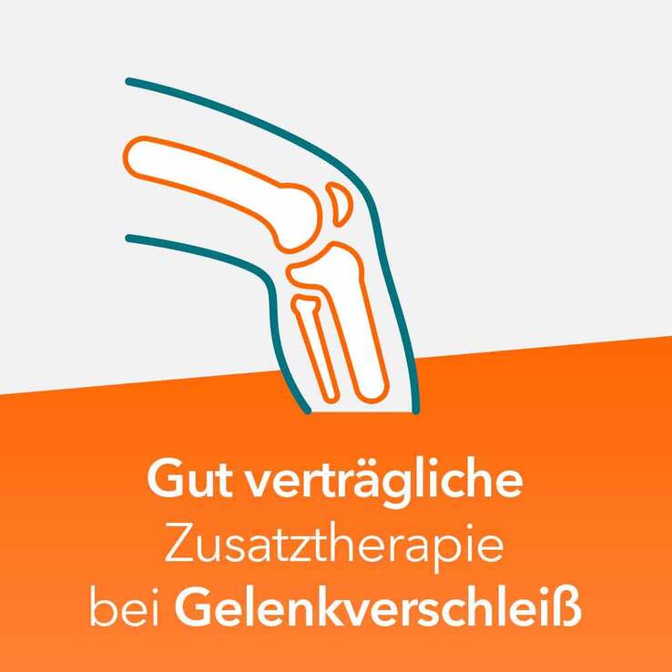 Teufelskralle ratiopharm - bei Gelenkschmerz, 100 St