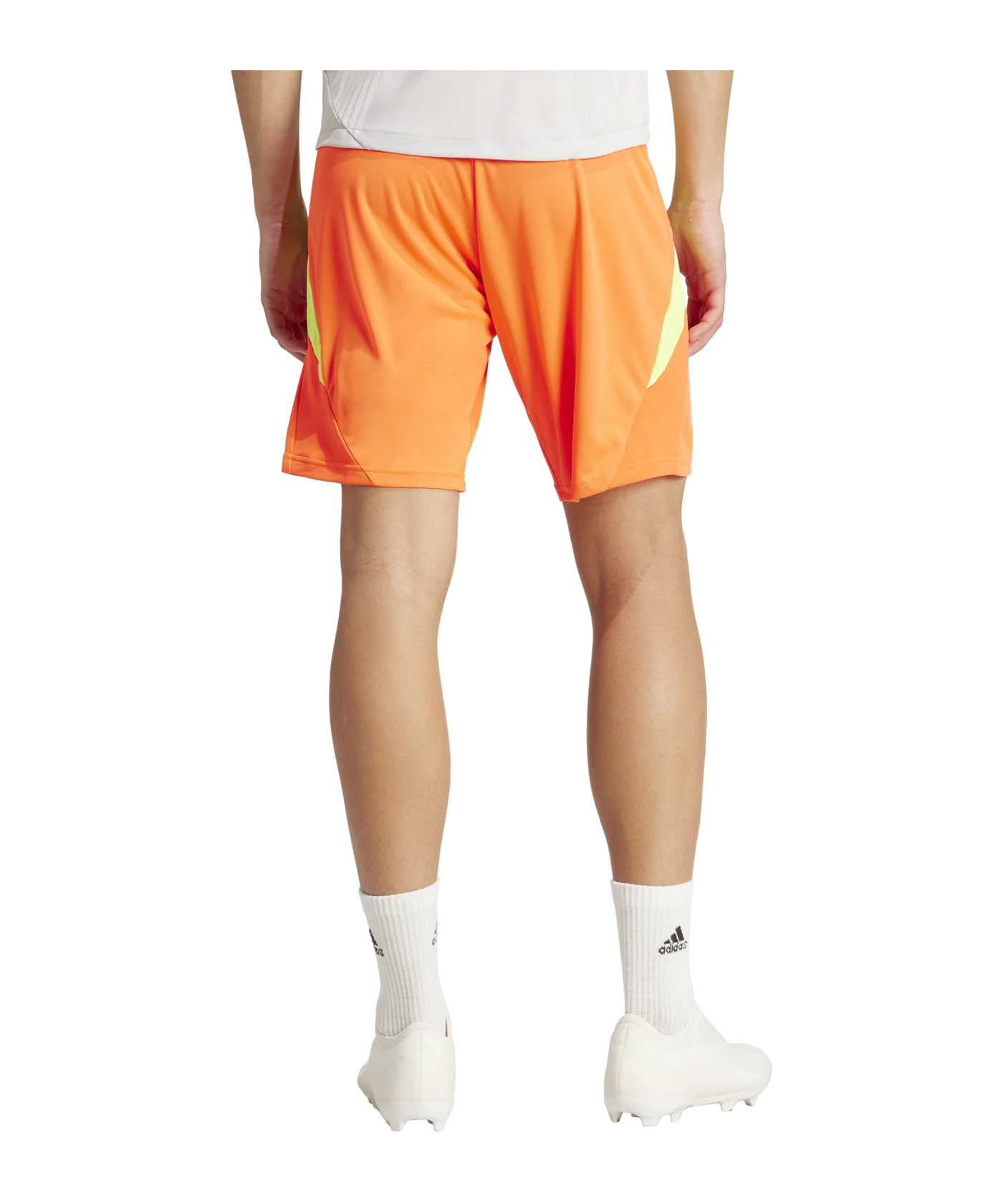 adidas Tiro 24 Pro Training Short Rot Gelb