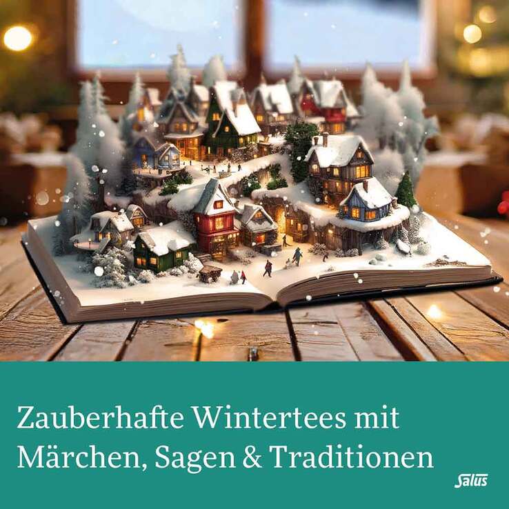 ST.LUCIA Bio Salus Wintertee Filterbeutel, 15 St
