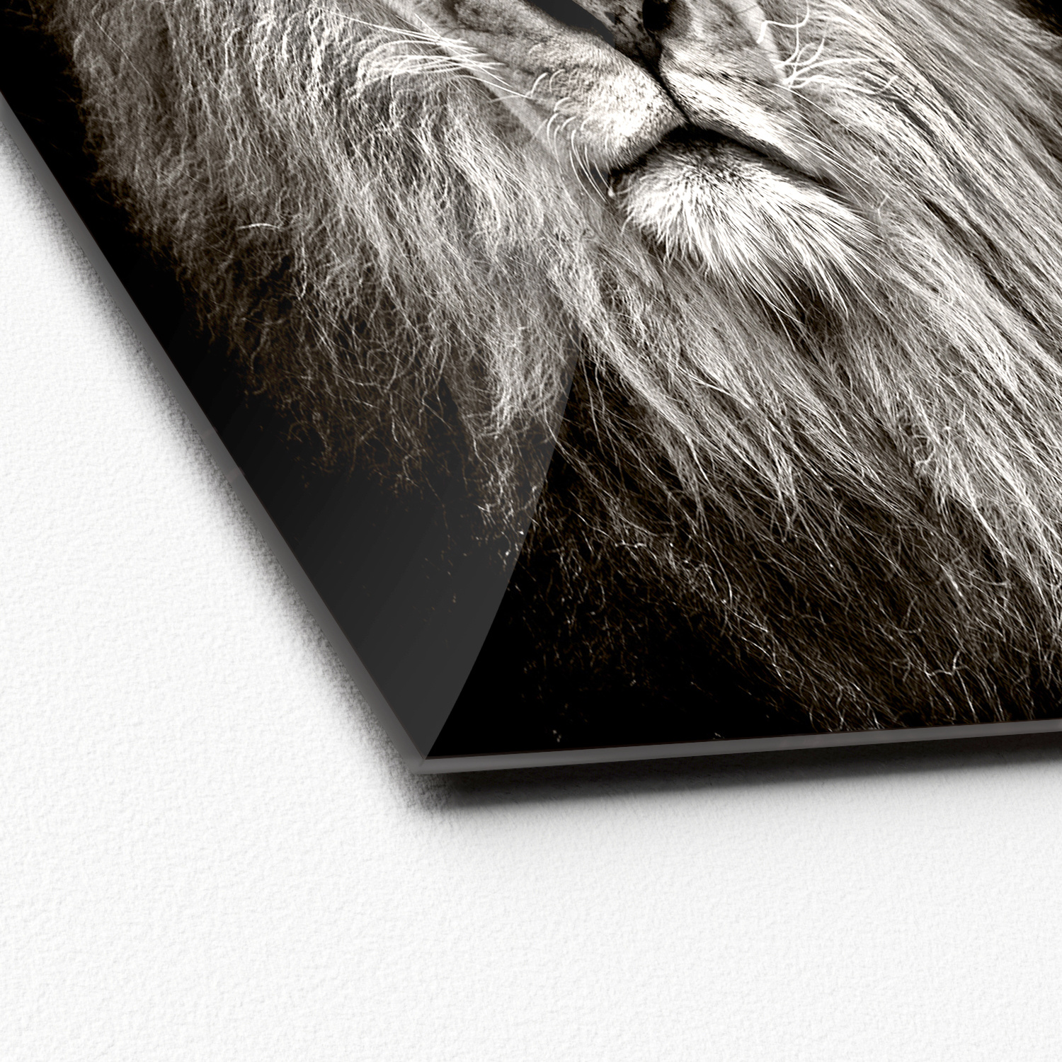 Glasbild LION HEAD