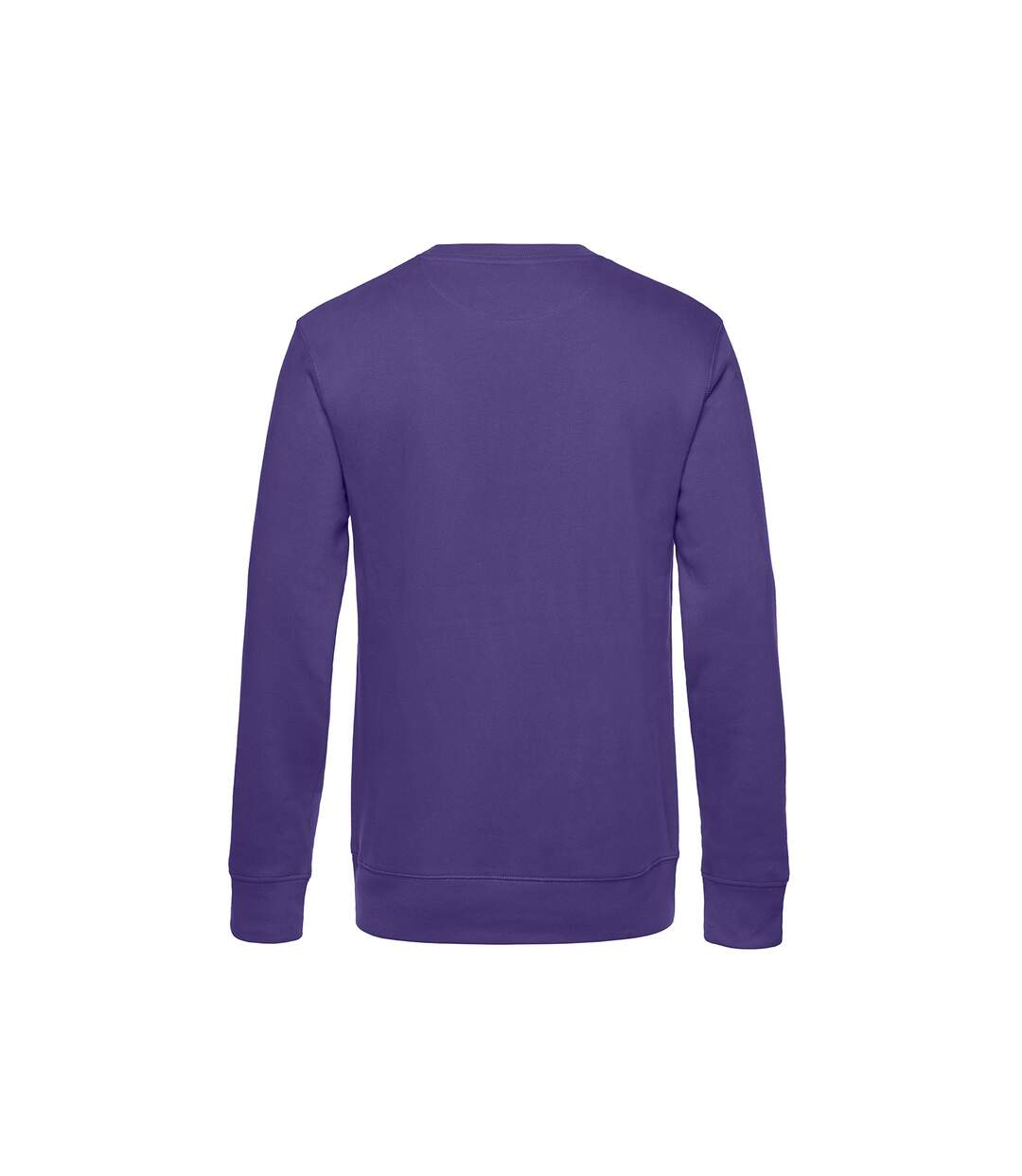 B&C - Sweat KING - Homme (Violet) - UTBC4689