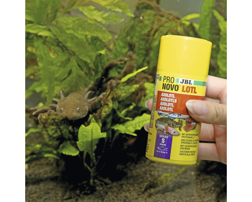 Korrelvoer JBL PRONOVO LOTL GRANO S 100 ml Click Axolotl