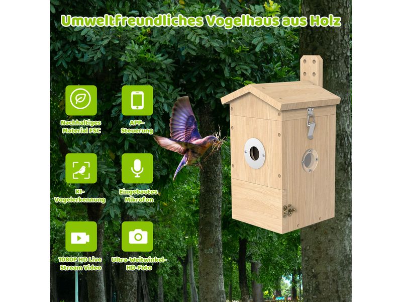 Sanilu Vogel Nistkasten mit Kamera Nistkasten aus Holz