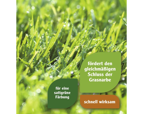 Gazonstartmeststof FloraSelf 2,5 kg / 80 m²