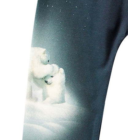 Molo Hosen - Sabb - Polar Cubs