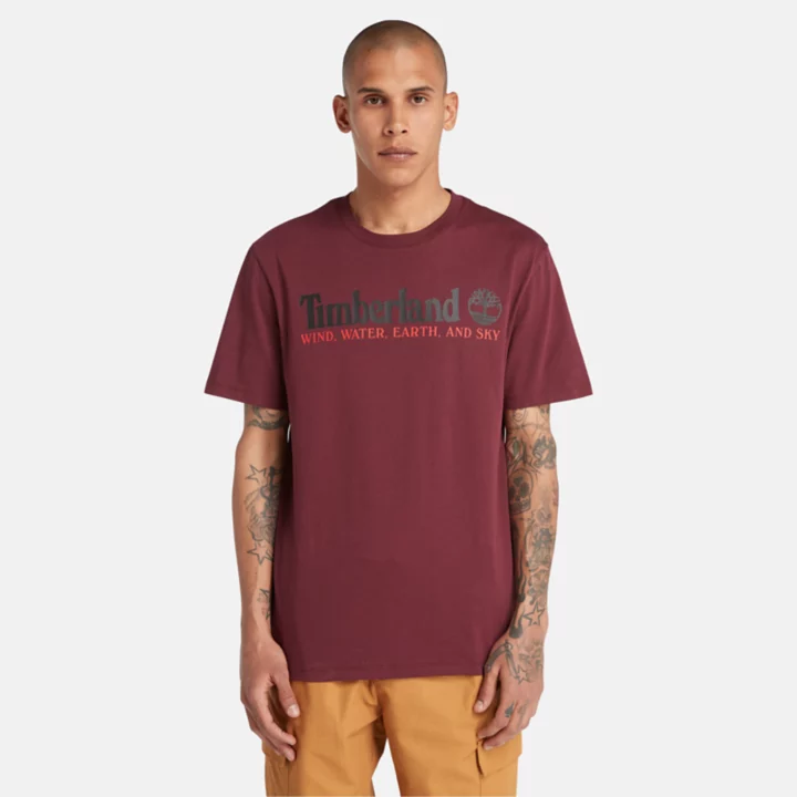Camiseta masculina 