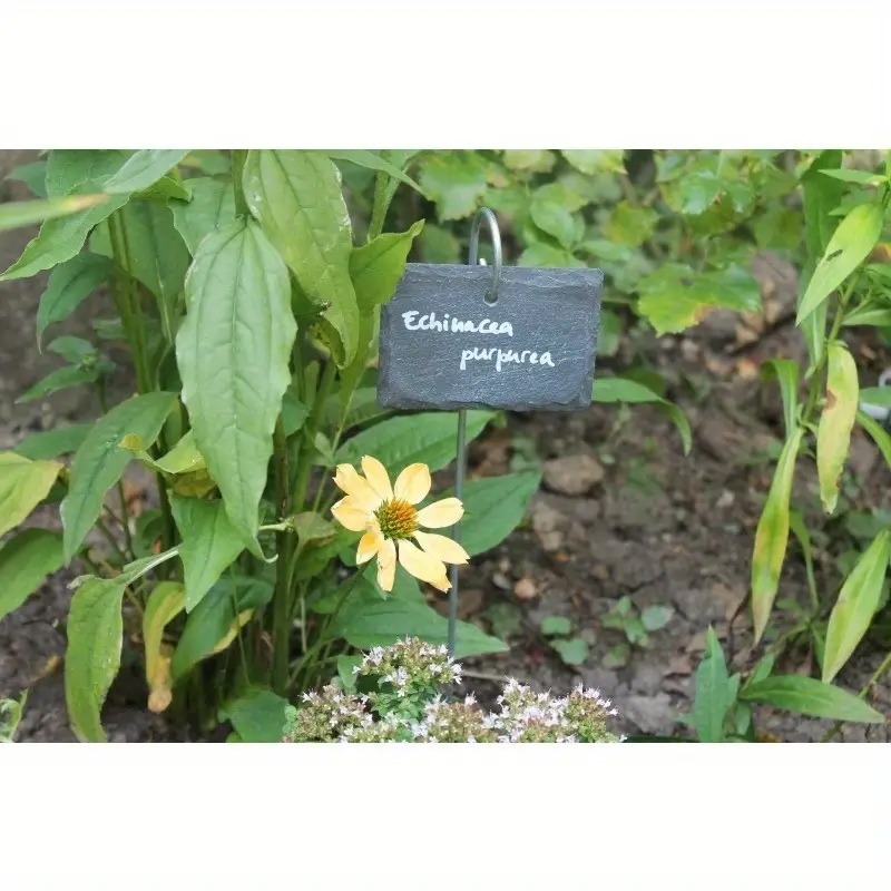 (40x10cm) Schiefer Pflanzenschild Wasserabweisende Steck Etikette für Blumenkasten / Beet - Schwarz