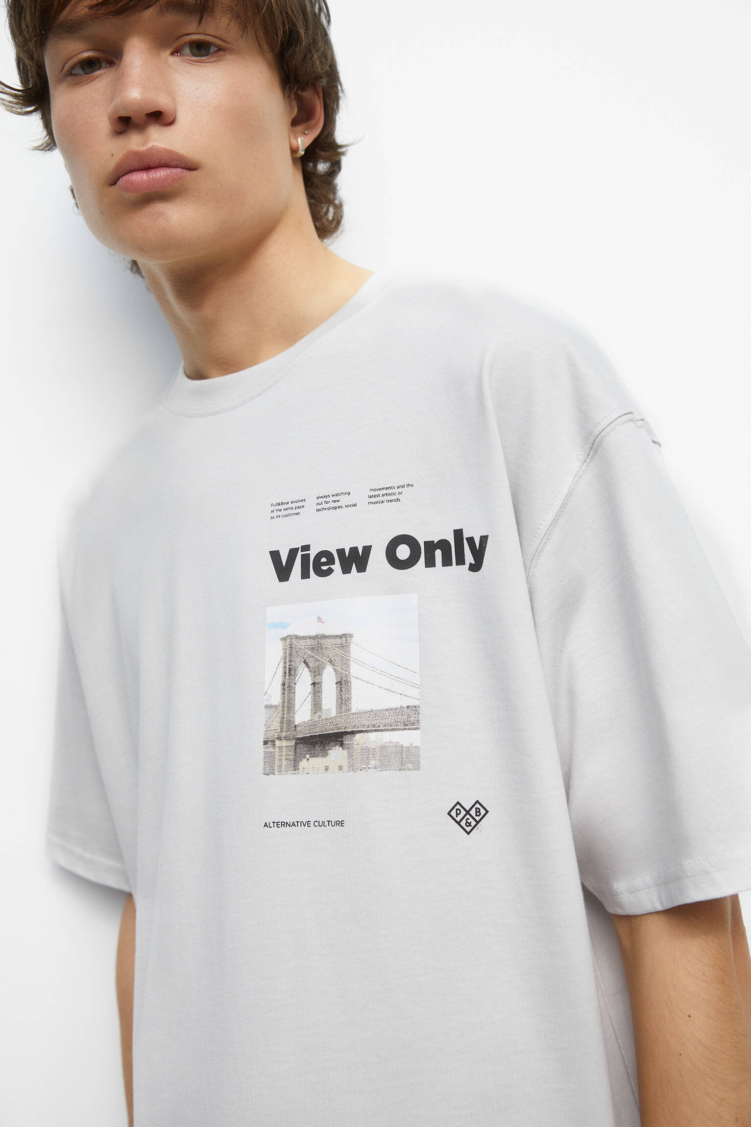 CAMISETA STWD ESTAMPADA CINZA - CINZA CLARO