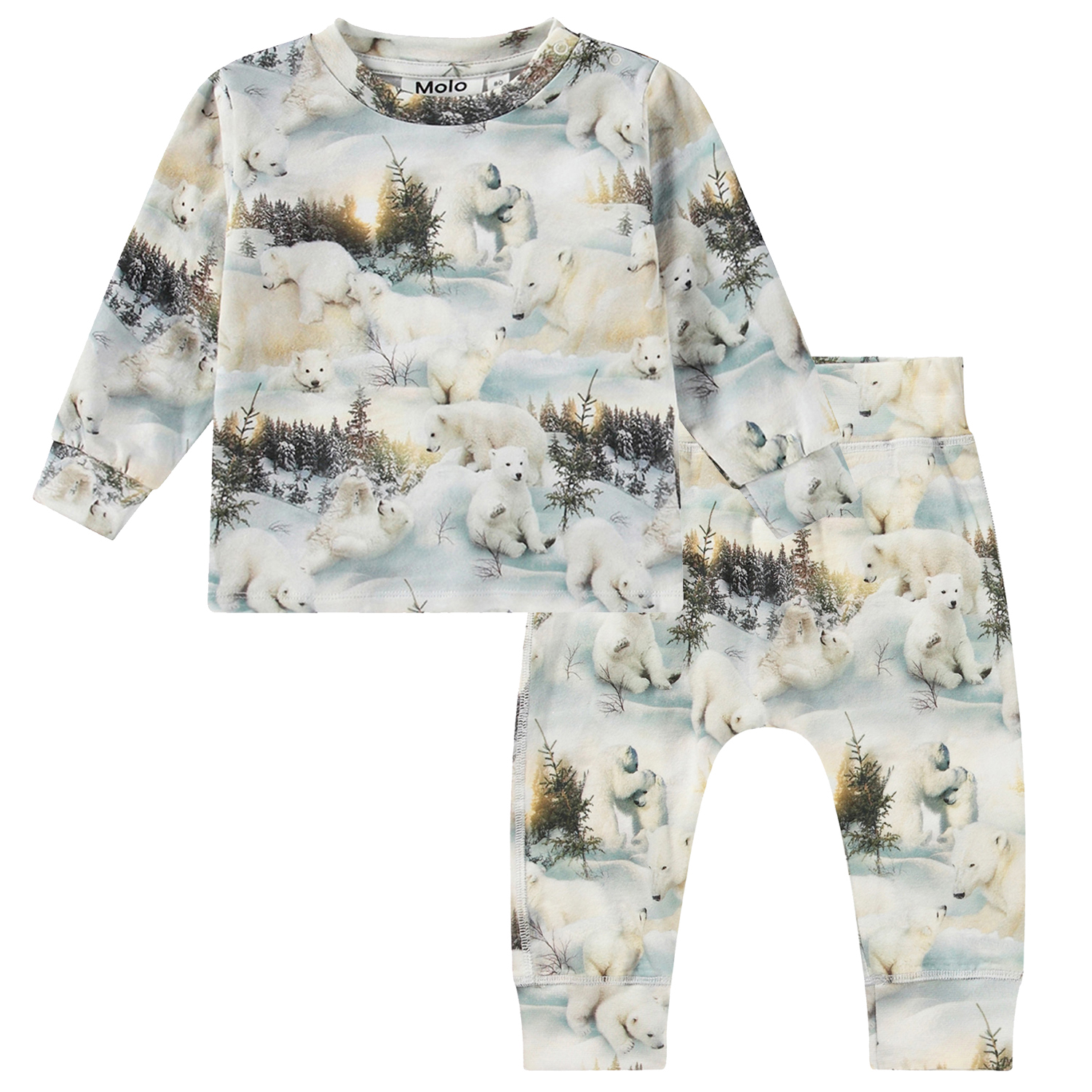 Eloy Set - Snowy Bears
