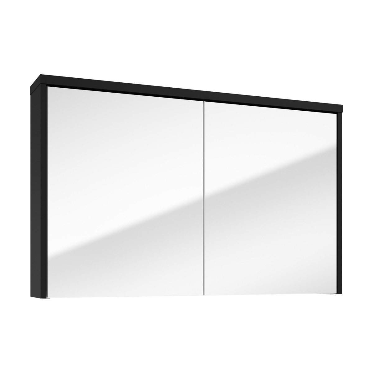 Fontana Basic spiegelkast 100cm met 2 deuren zwart mat