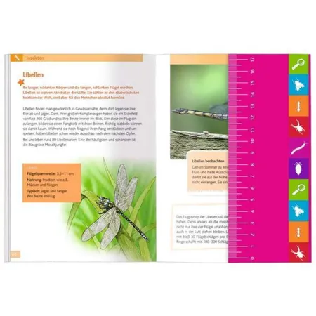 moses. Expedition Natur: Insekten, Spinnen & Co.