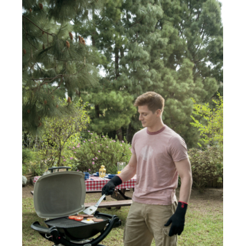 Weber bakplaat Q1000 reeks