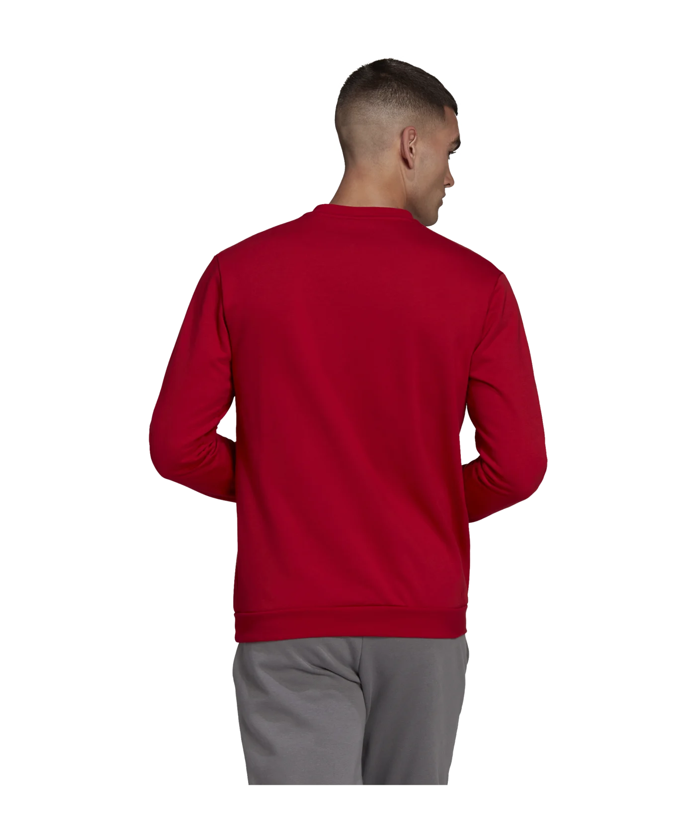adidas Entrada 22 Sweatshirt Rot